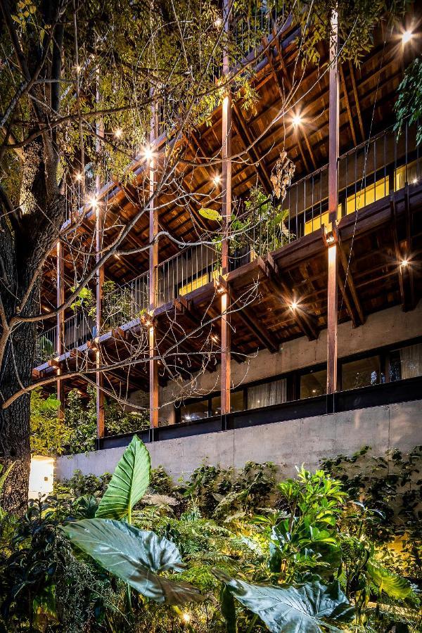 Ana Polanco Apartments メキシコシティ エクステリア 写真
