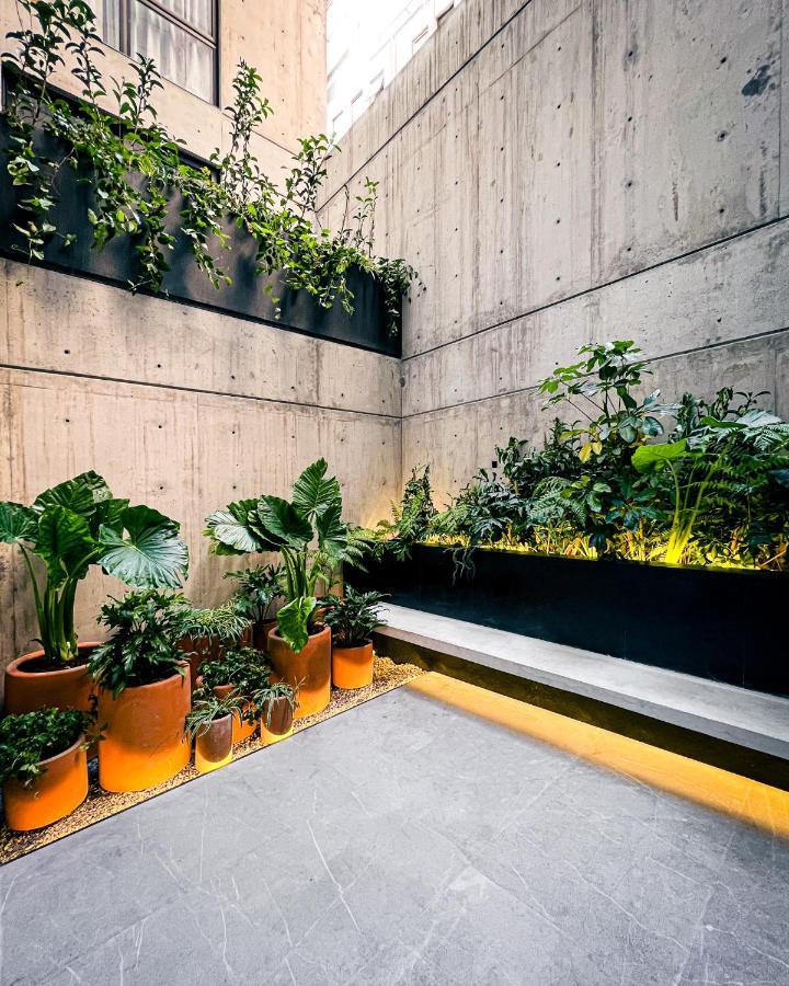 Ana Polanco Apartments メキシコシティ エクステリア 写真