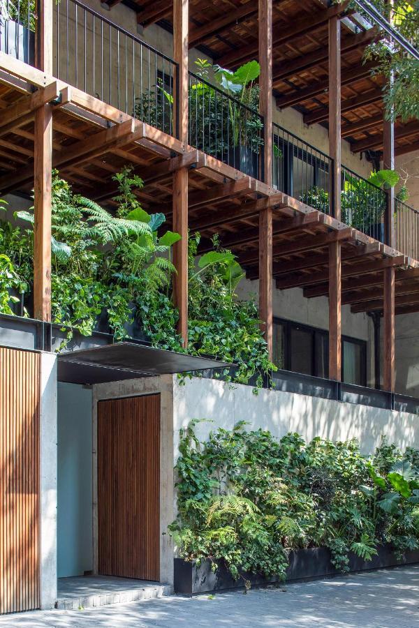 Ana Polanco Apartments メキシコシティ エクステリア 写真